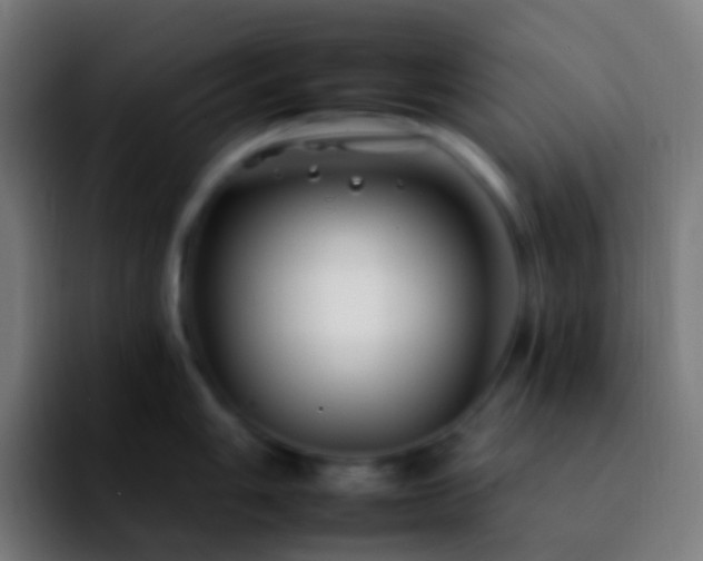 X0000092261006200709211116