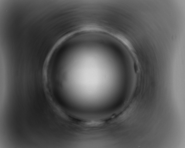 X0000092261008200709211116