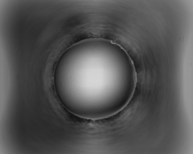 X0000092261009200709211115
