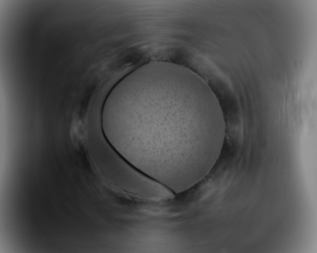X0000092261010200709211115