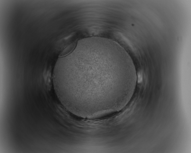 X0000092261011200709211115
