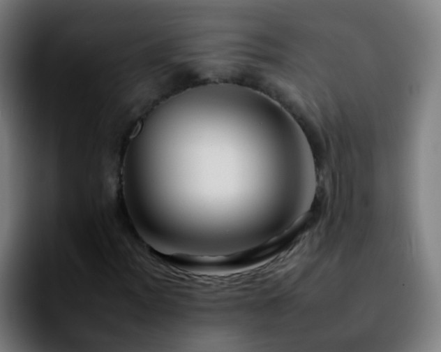X0000092261012200709211115
