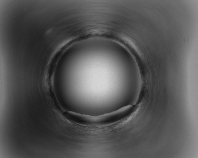 X0000092261018200709211115