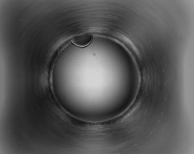 X0000092261019200709211115