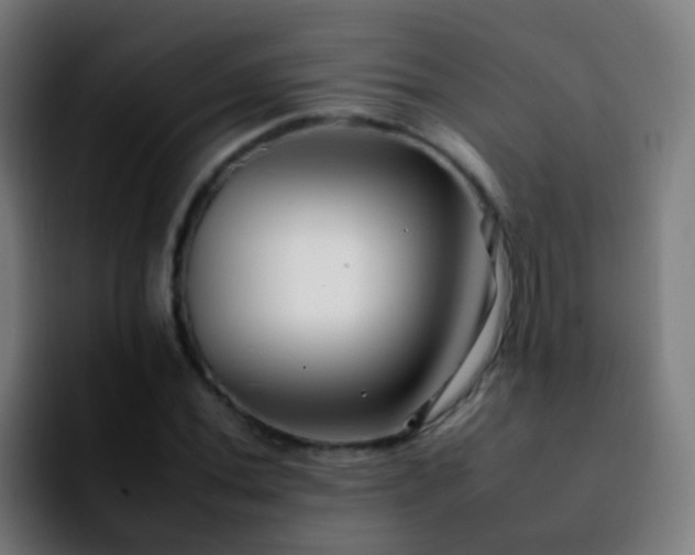 X0000092261020200709211115