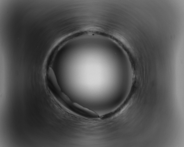 X0000092261022200709211115