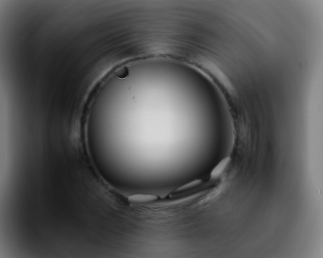 X0000092261023200709211115