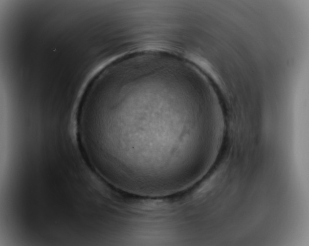 X0000092261024200709211115