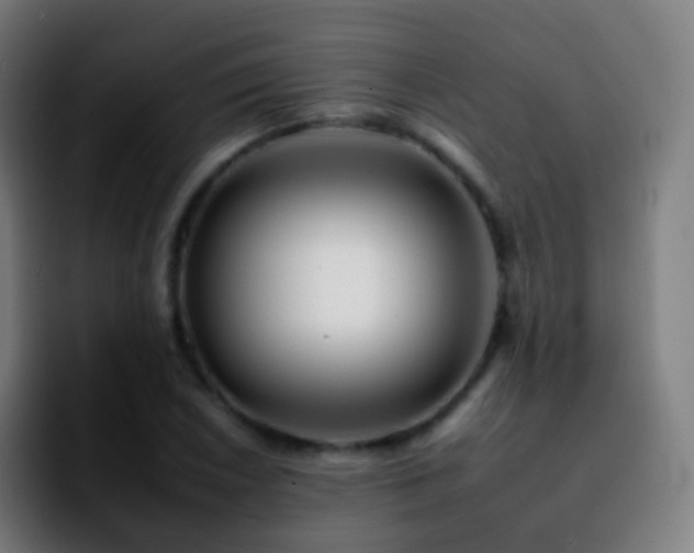 X0000092261026200709211115