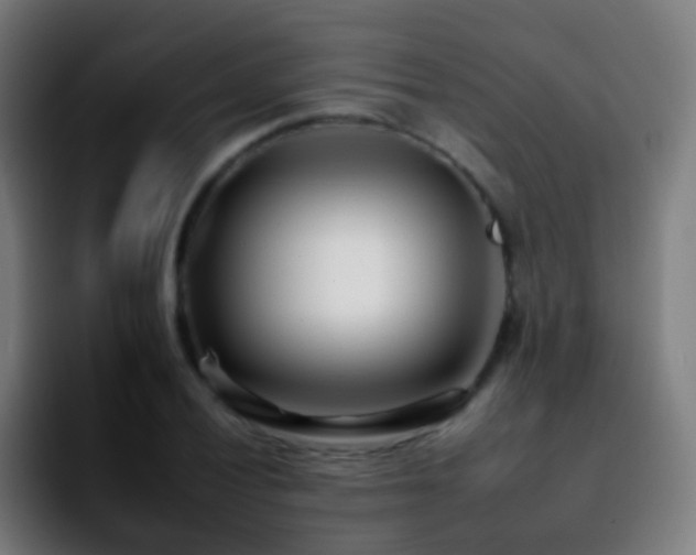 X0000092261028200709211115