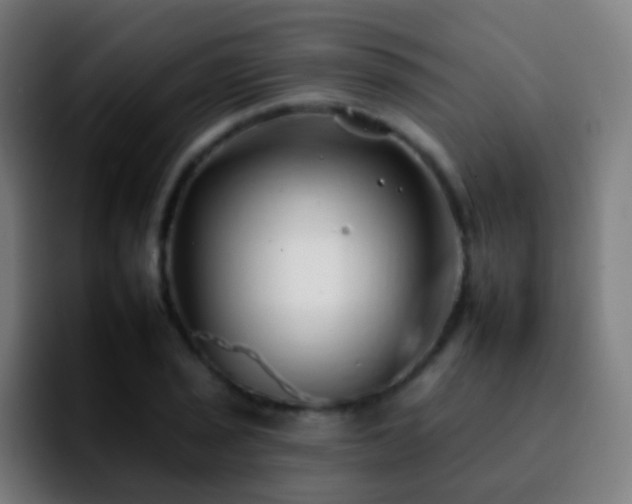 X0000092261029200709211115
