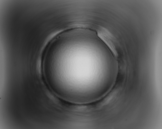 X0000092261030200709211115