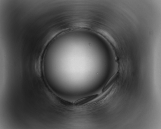 X0000092261031200709211115