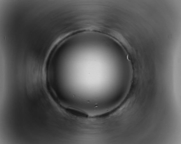 X0000092261032200709211115