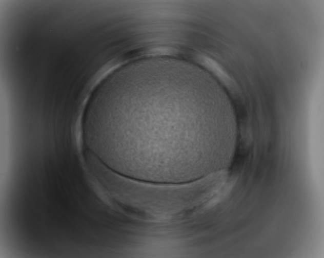 X0000092261034200709211115