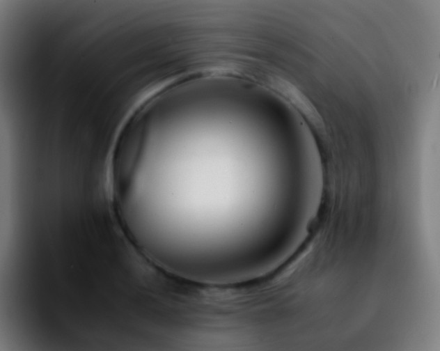 X0000092261036200709211115