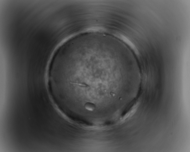 X0000092261037200709211115
