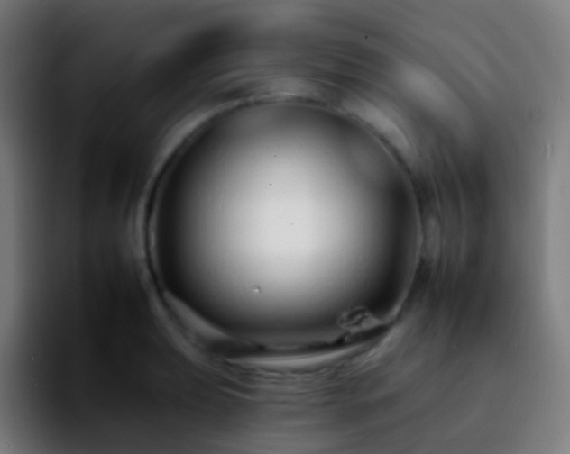 X0000092261039200709211115