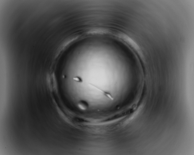 X0000092261041200709211115