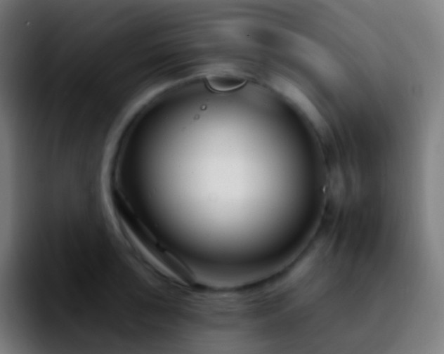 X0000092261043200709211116