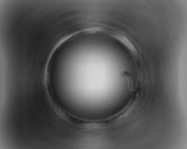 X0000092261044200709211116