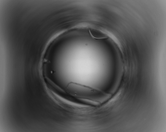 X0000092261045200709211116