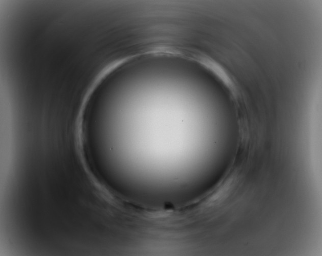 X0000092261048200709211116