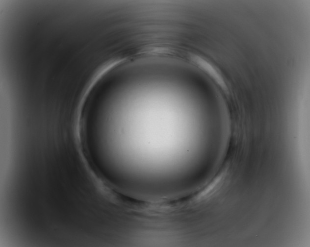 X0000092261050200709211116