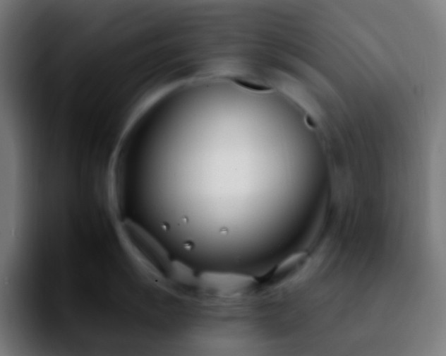 X0000092261055200709211116