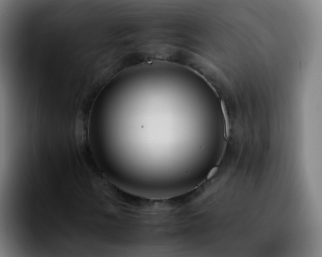 X0000092261058200709211115