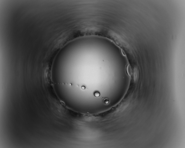 X0000092261059200709211115