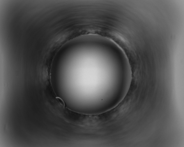 X0000092261062200709211115