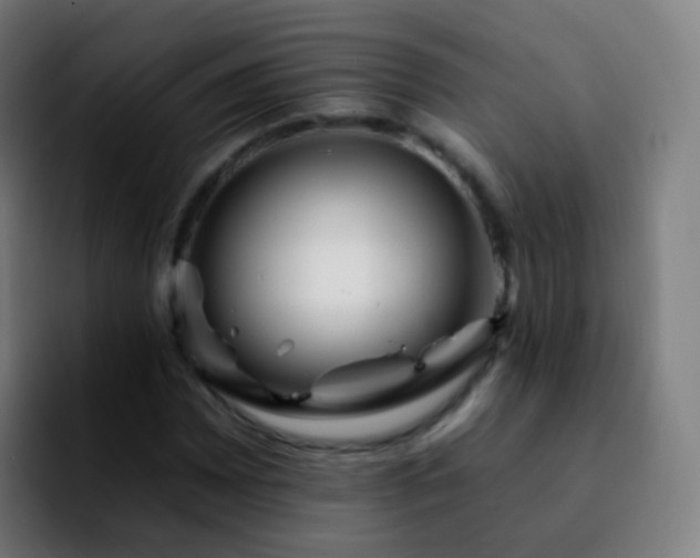 X0000092261065200709211115