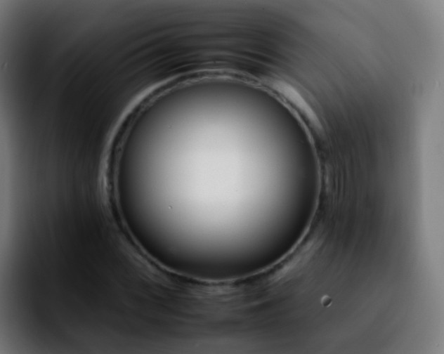 X0000092261068200709211115