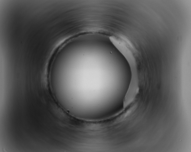 X0000092261071200709211115