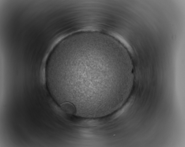 X0000092261075200709211115
