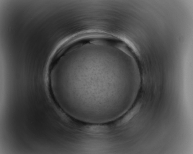 X0000092261077200709211115