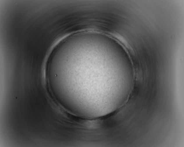X0000092261078200709211115