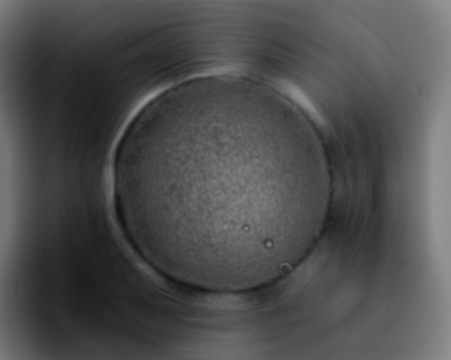 X0000092261079200709211115