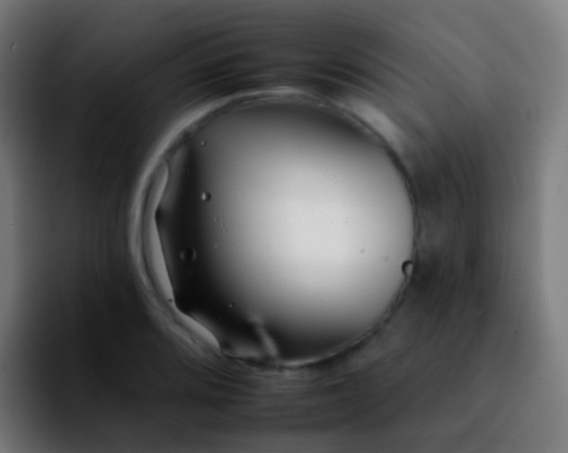X0000092261080200709211115