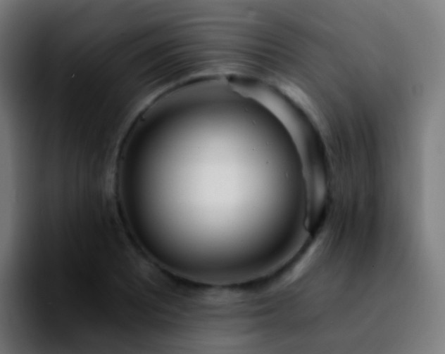 X0000092261081200709211115