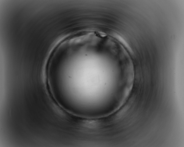 X0000092261082200709211115