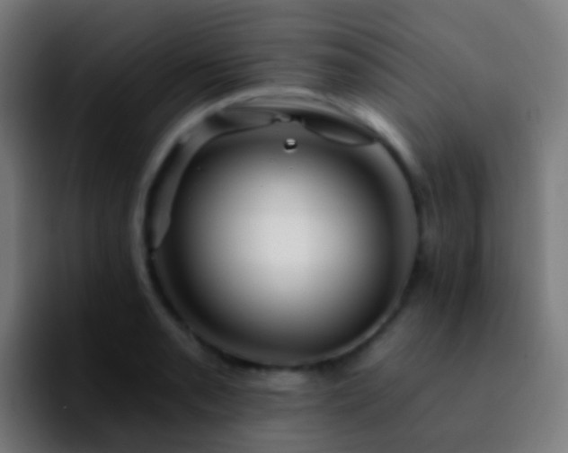 X0000092261085200709211115