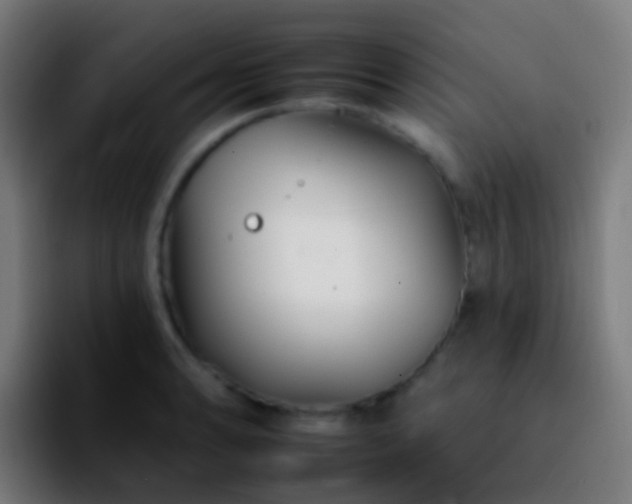 X0000092261086200709211115