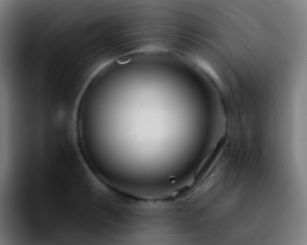 X0000092261087200709211115
