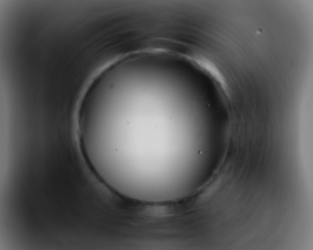 X0000092261088200709211115