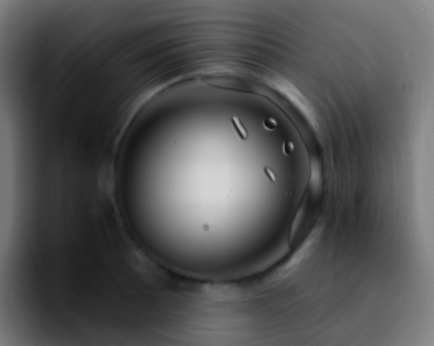 X0000092261089200709211115