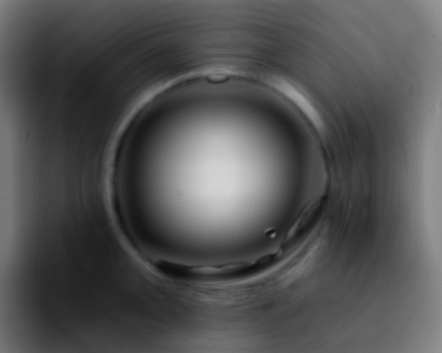 X0000092261093200709211115