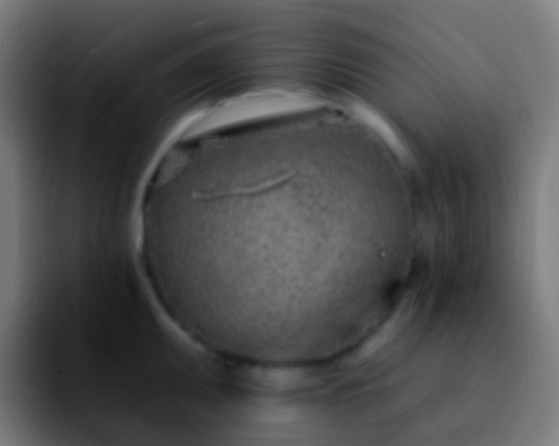 X0000092261095200709211115