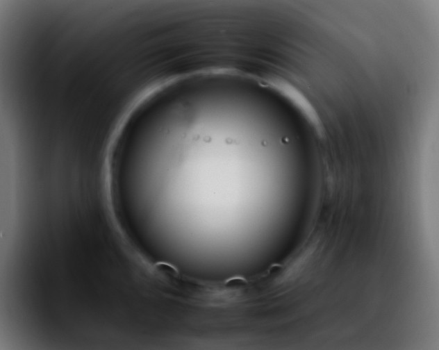 X0000092261096200709211115